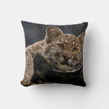 Bébé Bobcat allongé dans l'arbre