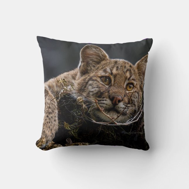 Coussin Bébé Bobcat allongé dans l'arbre (Recto)