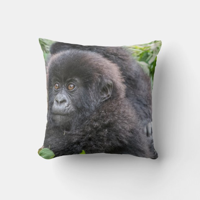 Coussin Bébé gorille des montagnes (Recto)