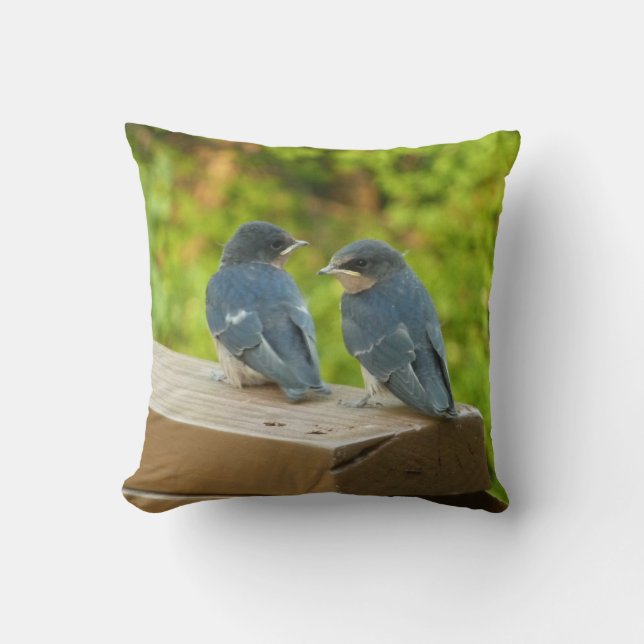 Coussin Bébé Grange hirondelle Nature Oiseau Photographie (Recto)