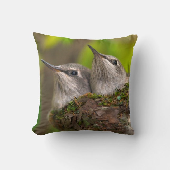Coussin Bébé hummingbirds (Recto)