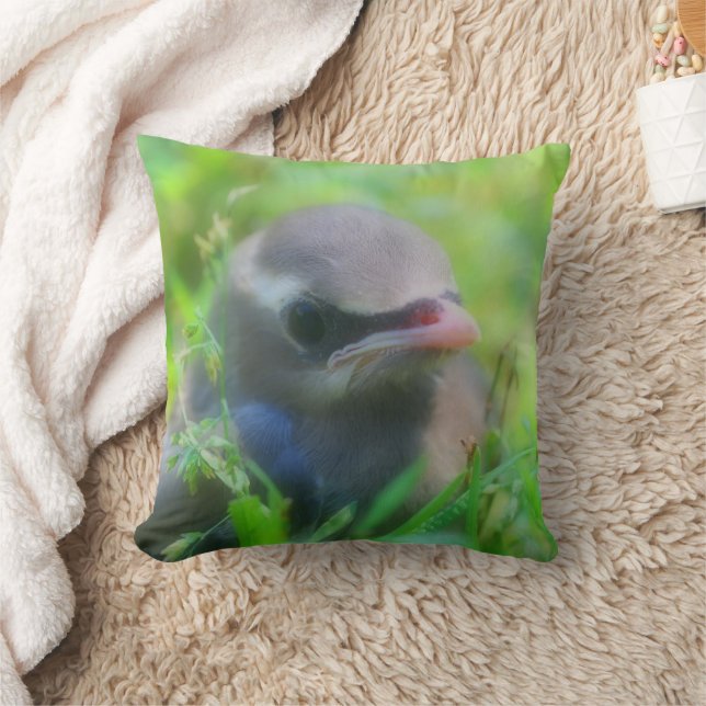 Coussin Bébé mignon Cèdre cire Oiseau  (Couverture)