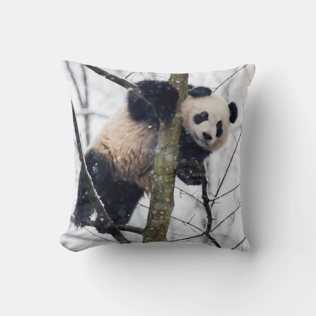 Coussin Bébé Panda dans l'arbre (Recto)