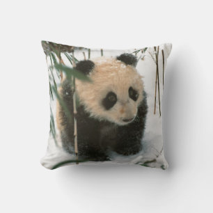 Coussin Bébé panda sur la neige, Wolong, Sichuan, Chine