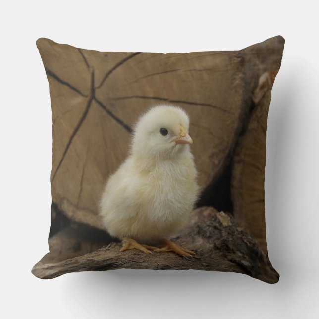 Coussin Bébé sur les registres (Recto)