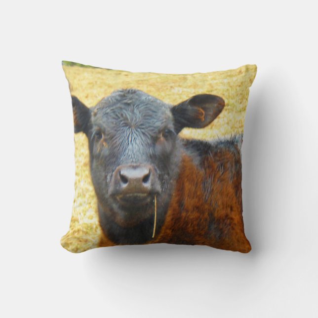 Coussin Bébé Vache Marron et Noire (Recto)