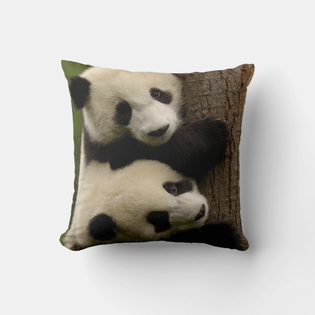 Coussin Bébés de panda géant (Ailuropoda melanoleuca) 2 (Recto)