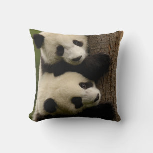 Coussin Bébés pandas géants (Ailuropoda melanoleuca) 2