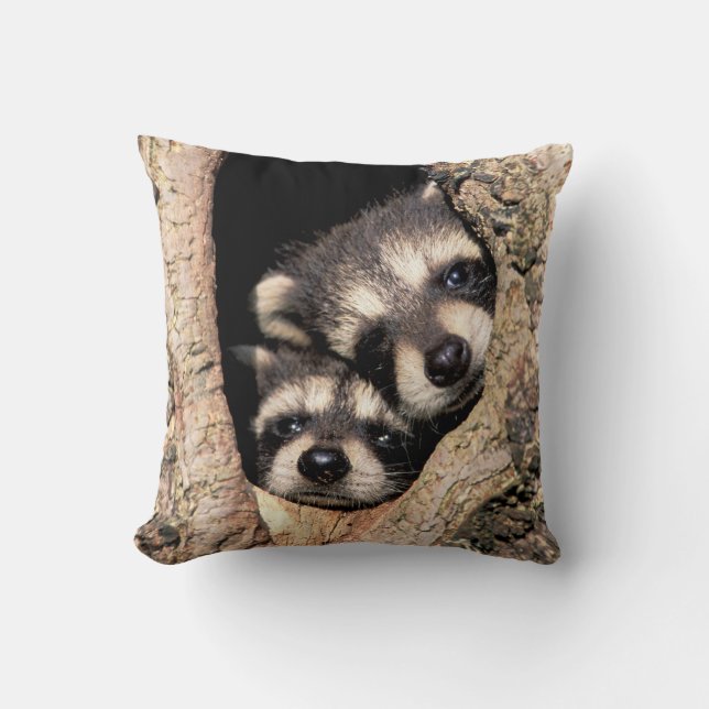 Coussin Bébés ratons laveurs regardant hors de l'arbre (Recto)