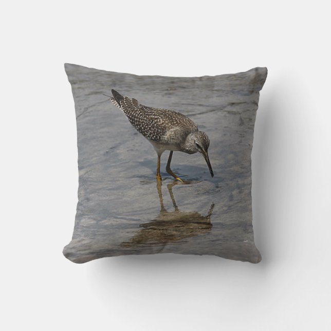 Coussin Bécasseau (Recto)