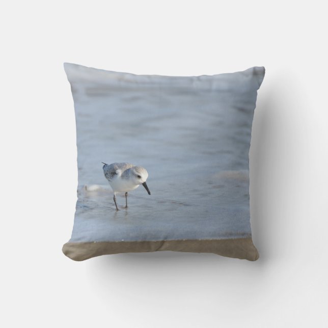 Coussin Bécasseau solitaire marchant sur la plage double f (Recto)
