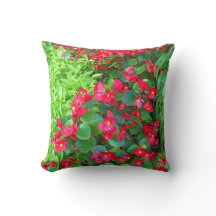 Bégonias couverts de rosée