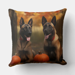 Coussin Belge Malinoi Puppy Automne Citrouille de plaisir