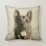 Coussin Belge Malinois - berger belge - Maligator<br><div class="desc">Belge Malinois - berger belge - Maligator</div>