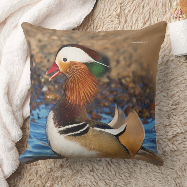 Coussin Belle Chatty Mandarin Canard à l'étang (Couverture)