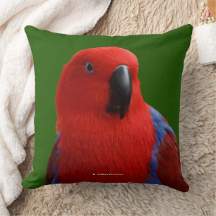 Coussin Belle "Dame en rouge" Eclectus Oiseau de perroquet