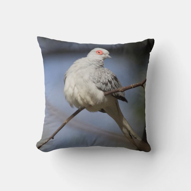 Coussin Belle douceur Diamond Dove (Recto)