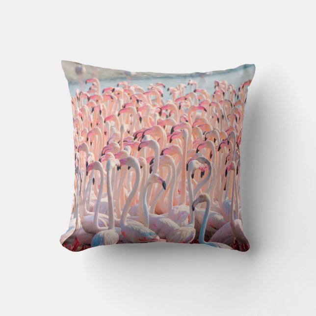 Coussin Belle et sauvage - Flamingosflock, plus, rose, d (Recto)