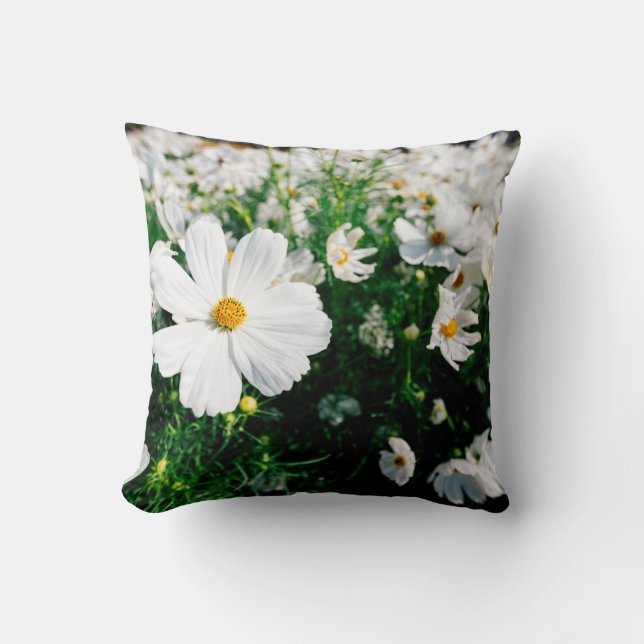 Coussin Belle fleurs de cosmos blanc fleurissant dans la g (Recto)