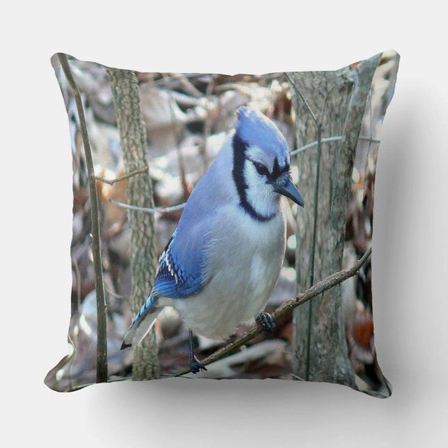 Coussin Belle Jay Bleu (Recto)