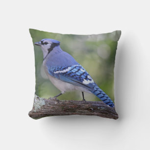Coussin Belle Jay Bleu