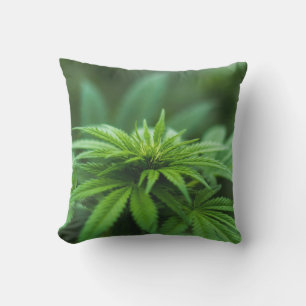 Coussin Belle mauvaise herbe