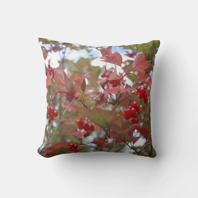 Coussin Belle Nature Automne Berries Automne Cool saison a (Recto)