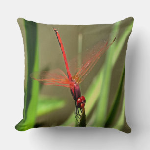 Coussin Belle peinture acrylique de libellule de fût