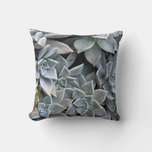 Coussin Belle photo de Plante succulent