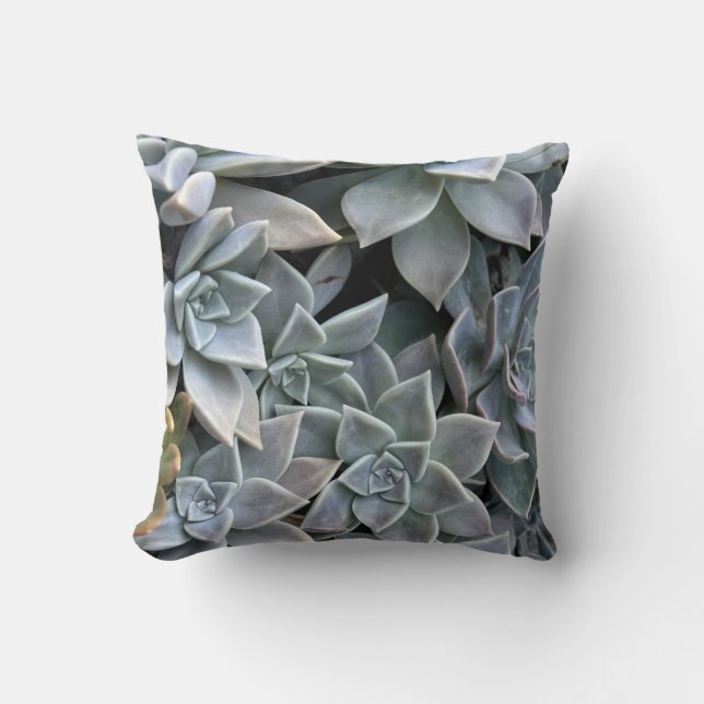 Coussin Belle photo de Plante succulent (Recto)