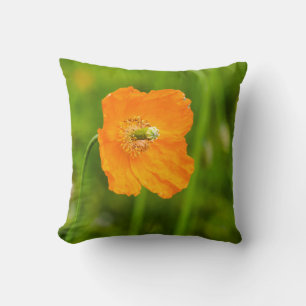 Coussin Belle photo d'été de fleur de pavot orange sur fon