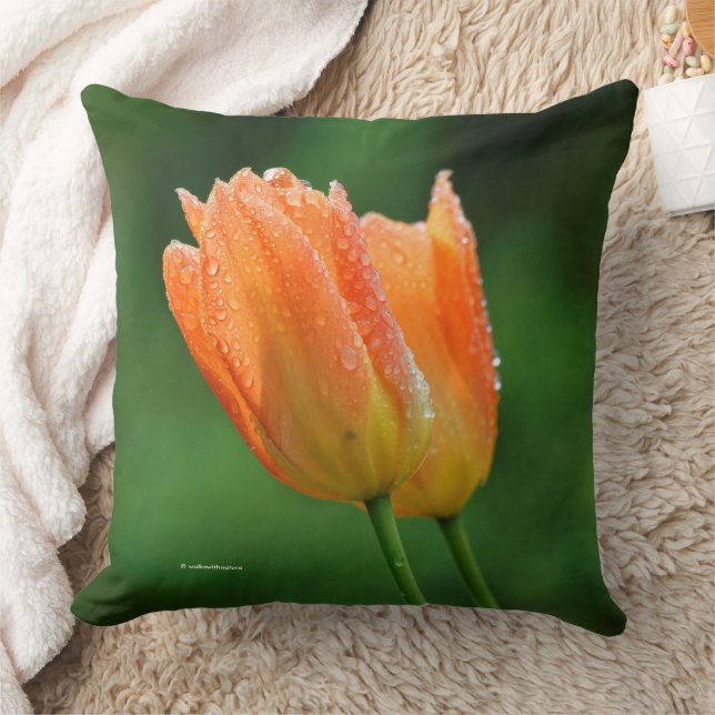 Coussin Belles Tulipes Orange Pastel Baisées À La Dew (Couverture)