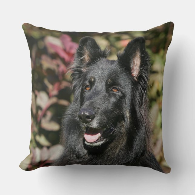 Coussin Berger allemand aux cheveux longs noir (Recto)
