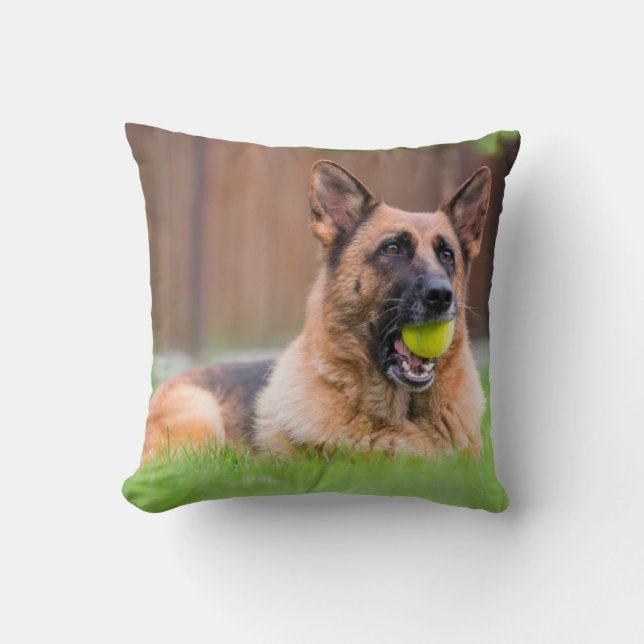 Coussin Berger Allemand Avec Bal De Tennis (Recto)