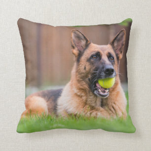Coussin Berger Allemand Avec Bal De Tennis