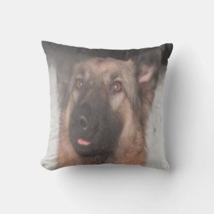 Coussin berger allemand chasser la langue