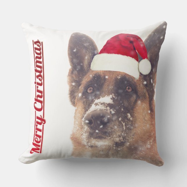 Coussin Berger allemand dans le carreau de vacances de (Recto)
