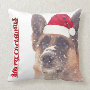 Coussin Berger allemand dans le carreau de vacances de