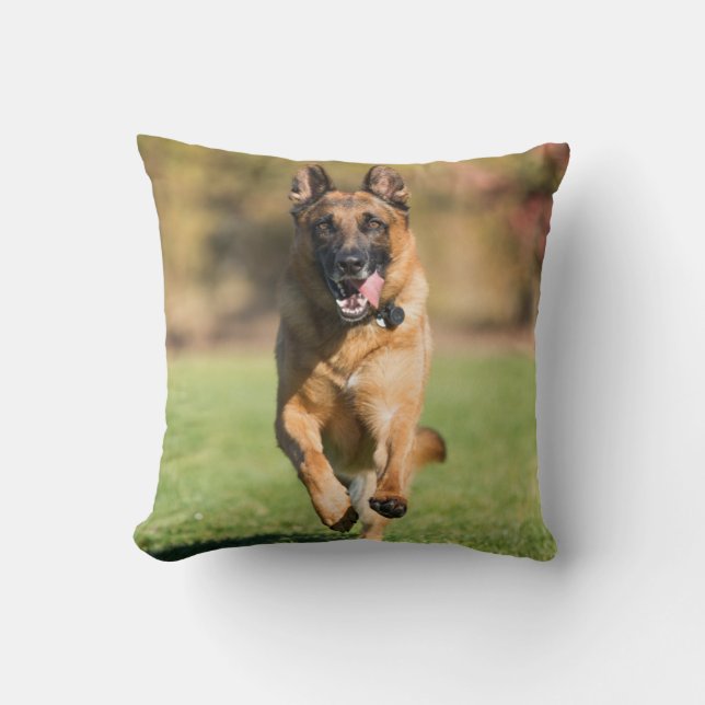 Coussin Berger allemand en course (Recto)