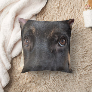 Coussin berger allemand par Shirley Taylor