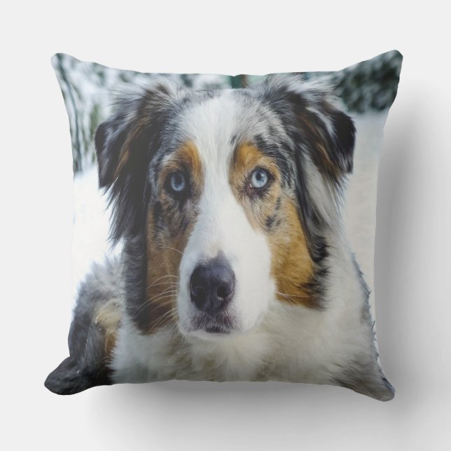 Coussin Berger Australien dans la neige (Recto)
