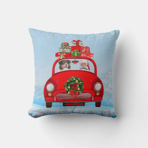 Coussin Berger Australien dans une voiture avec le Père No