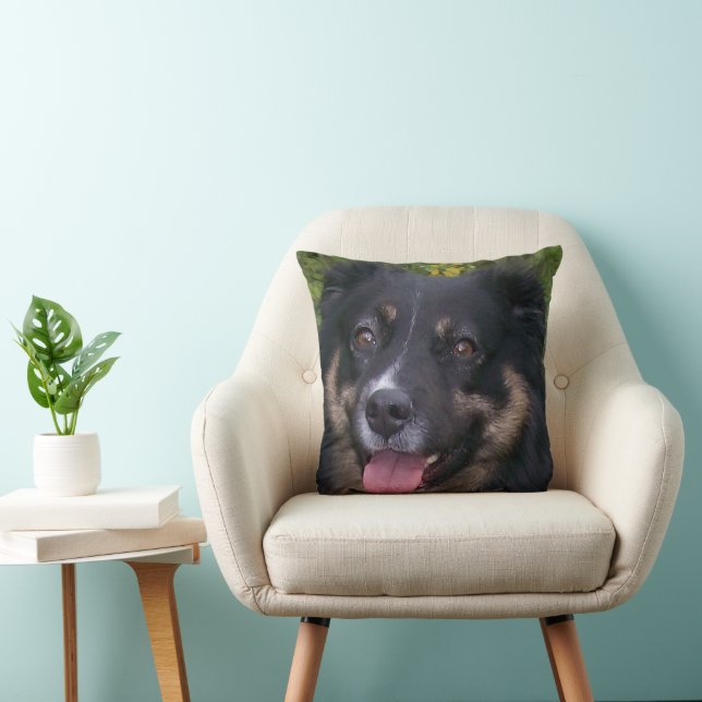 Coussin berger australien tri noir (Chaise)