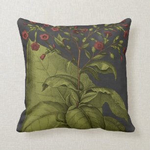 Coussin Besler Dramatique I