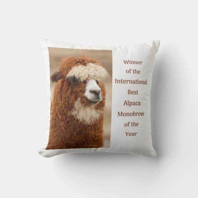 Coussin Best Alpaca Monobrow (Recto)