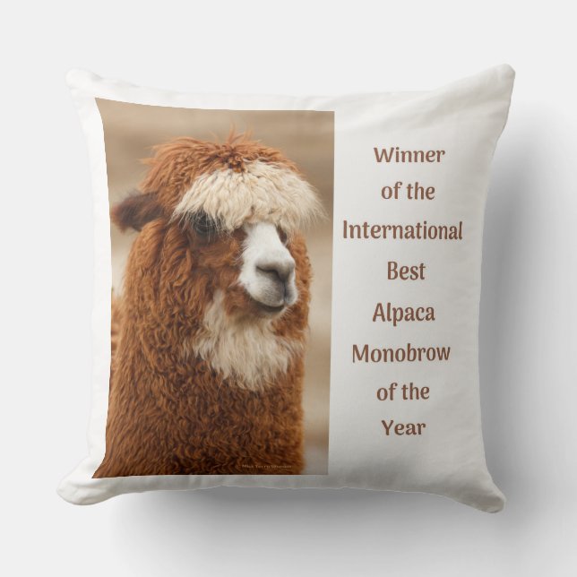 Coussin Best Alpaca Monobrow (Recto)