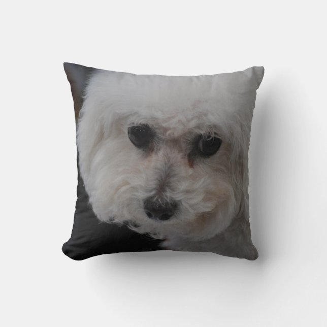 Coussin Bichon doux Frise (Recto)