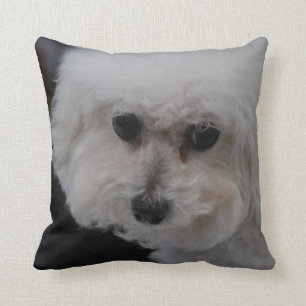 Coussin Bichon doux Frise