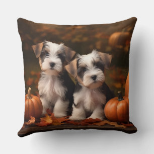 Coussin Biewer Terrier Chiot Automne Citrouille délice