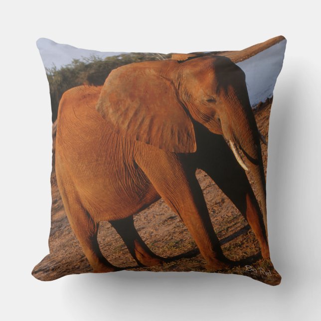 Coussin Big Red (Recto)
